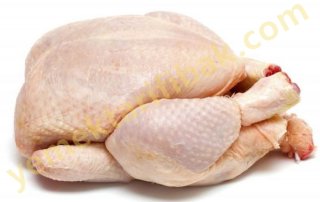 Tavuk ve Piliç Hakkında Bilmeniz Gerekenler